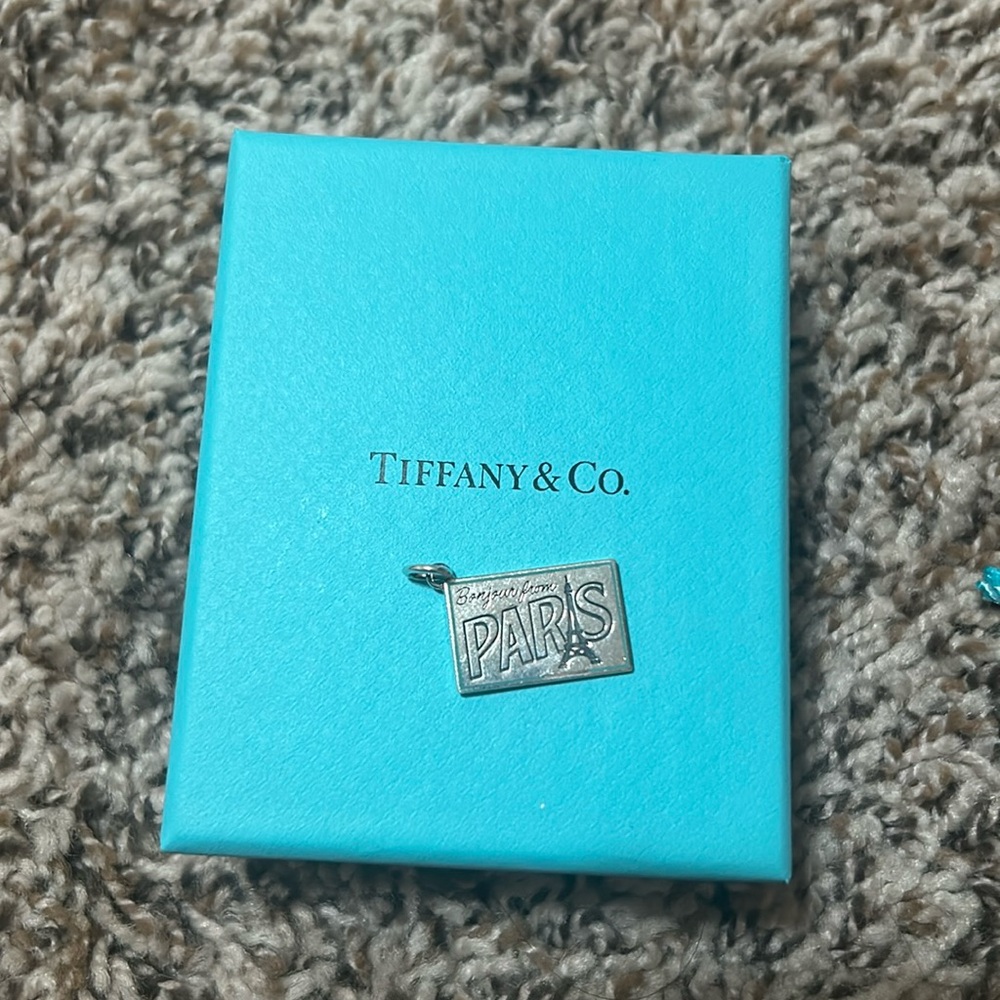 Rare Tiffany and Co charm
